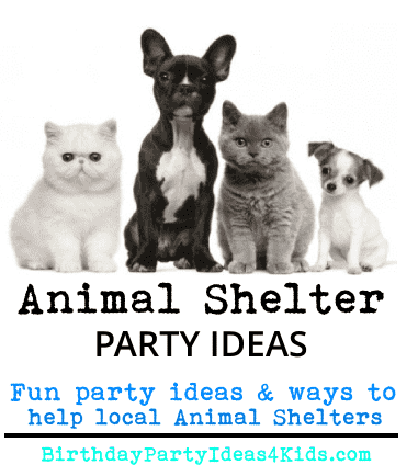 animal shelter party ideas for charity birthday