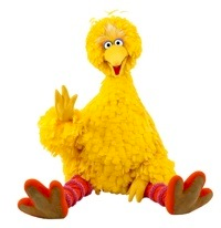 Big Bird sitting down with white background