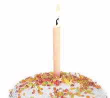 Birthday Party Cupcake